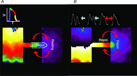 Figure 11