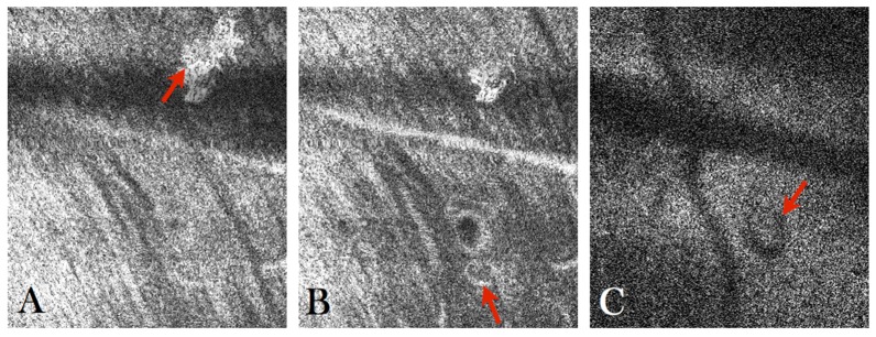 Fig. 7