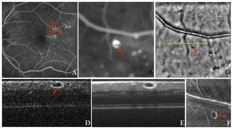 Fig. 6