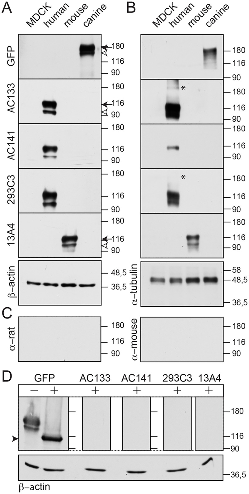 Fig 5