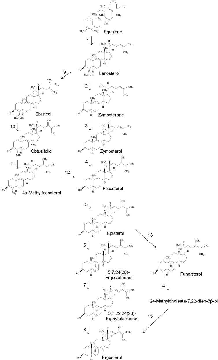 Fig. 5.