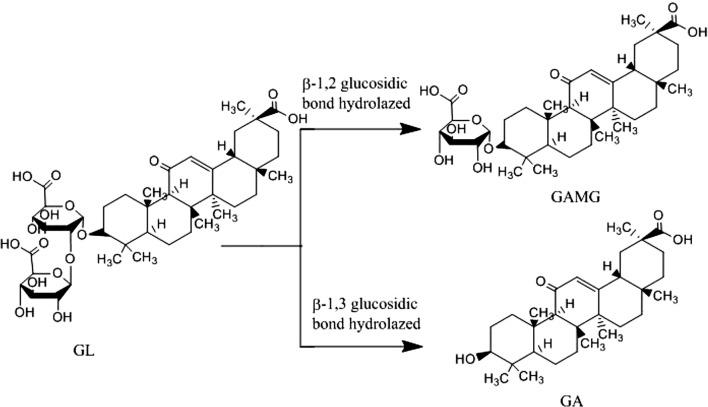 Fig. 1