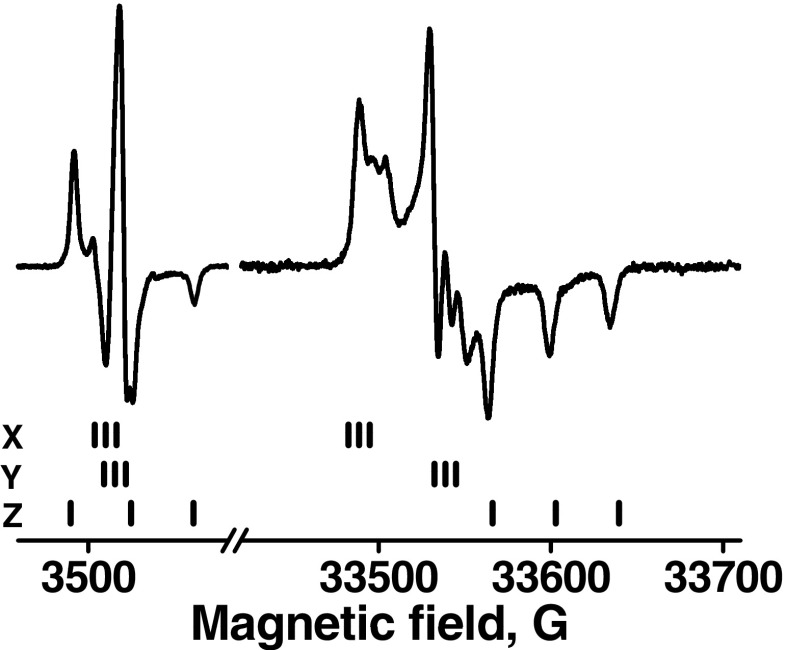 Fig. 2