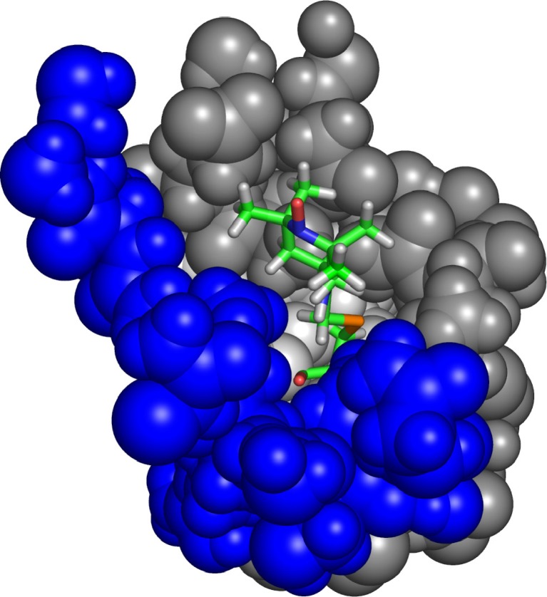 Fig. 8