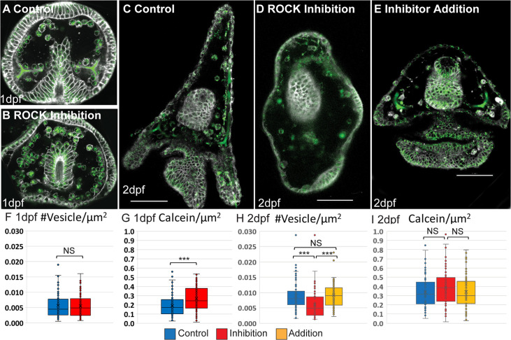 Figure 3—figure supplement 2.