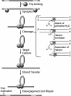 FIG. 1.