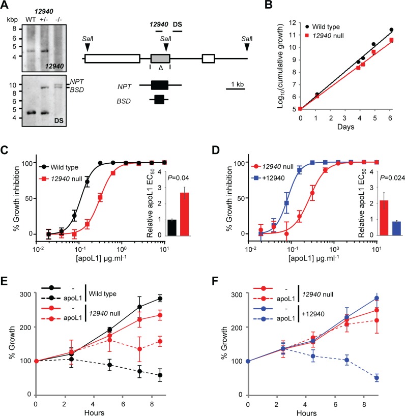 Fig 6