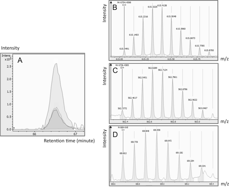 Fig. 1: