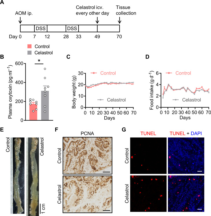 Figure 4—figure supplement 2.