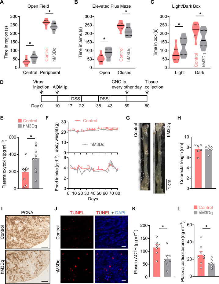 Figure 1—figure supplement 2.