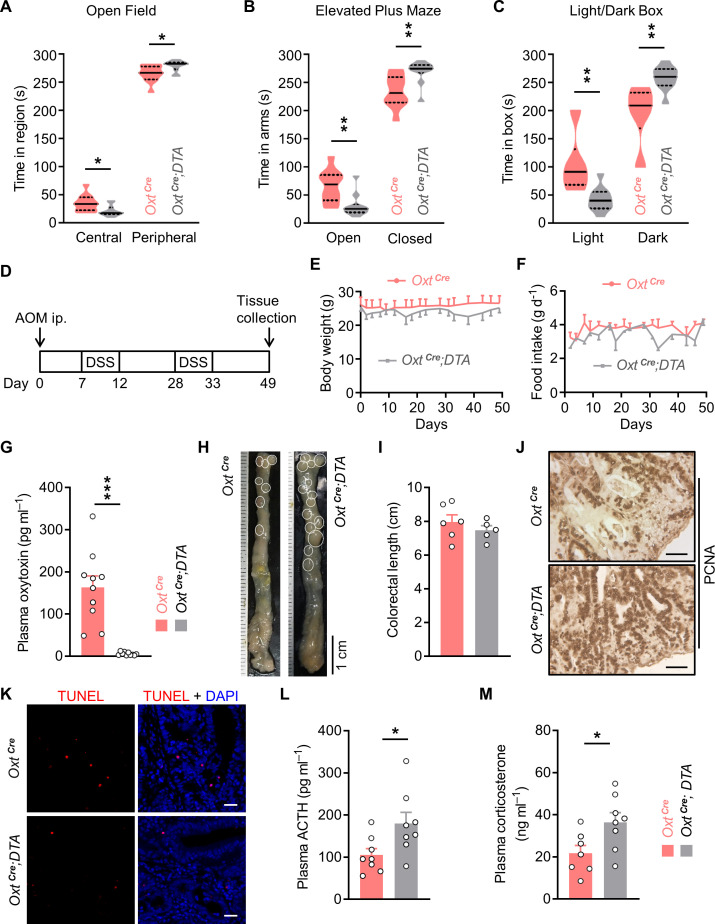 Figure 1—figure supplement 1.