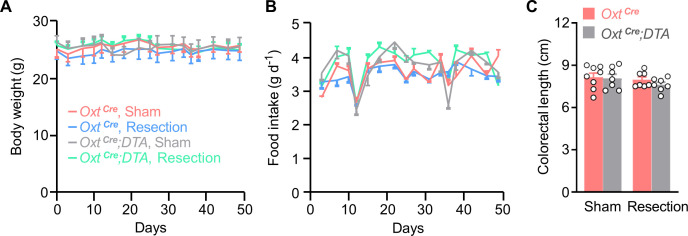 Figure 3—figure supplement 2.