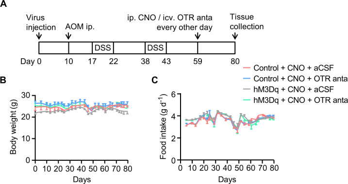 Figure 2—figure supplement 1.