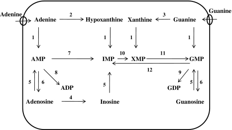 Fig. 3