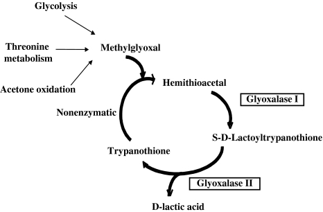 Fig. 6