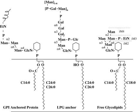 Fig. 4