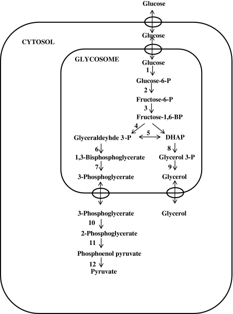 Fig. 2