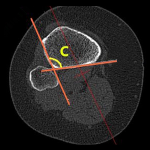 Figure 8