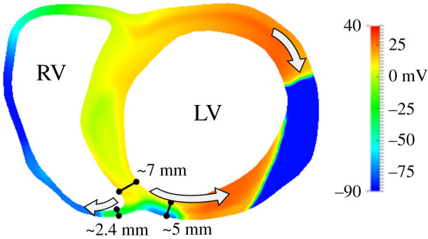 Figure 5.