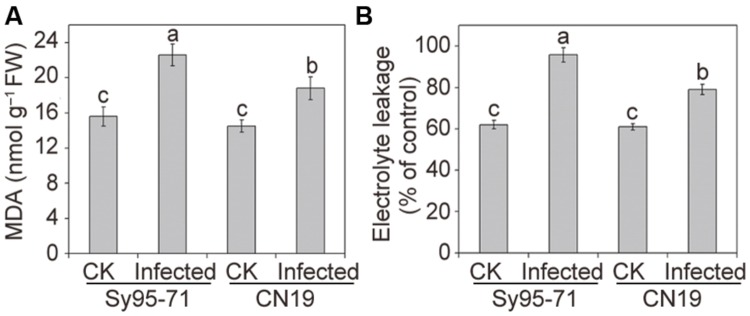 FIGURE 4