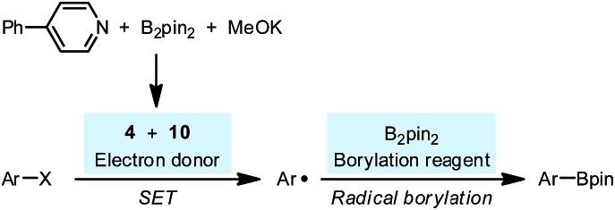 Scheme 10