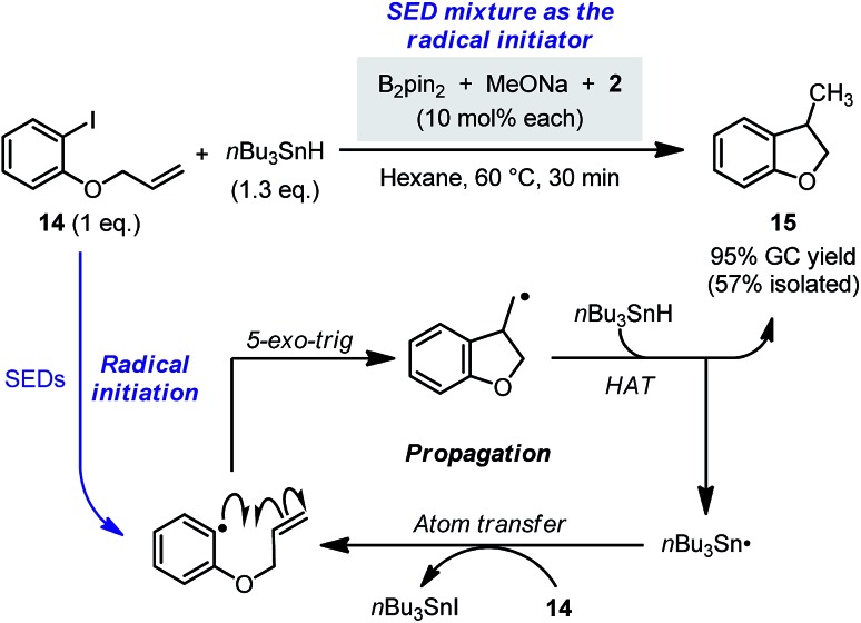 Scheme 12