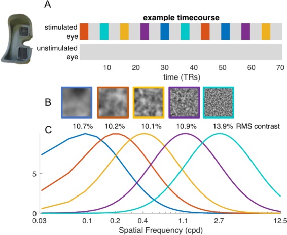 Figure 4—figure supplement 1.