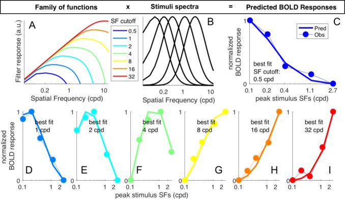 Figure 5—figure supplement 1.