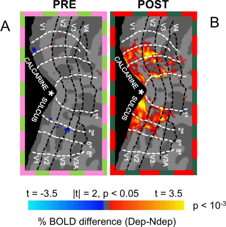 Figure 1—figure supplement 2.