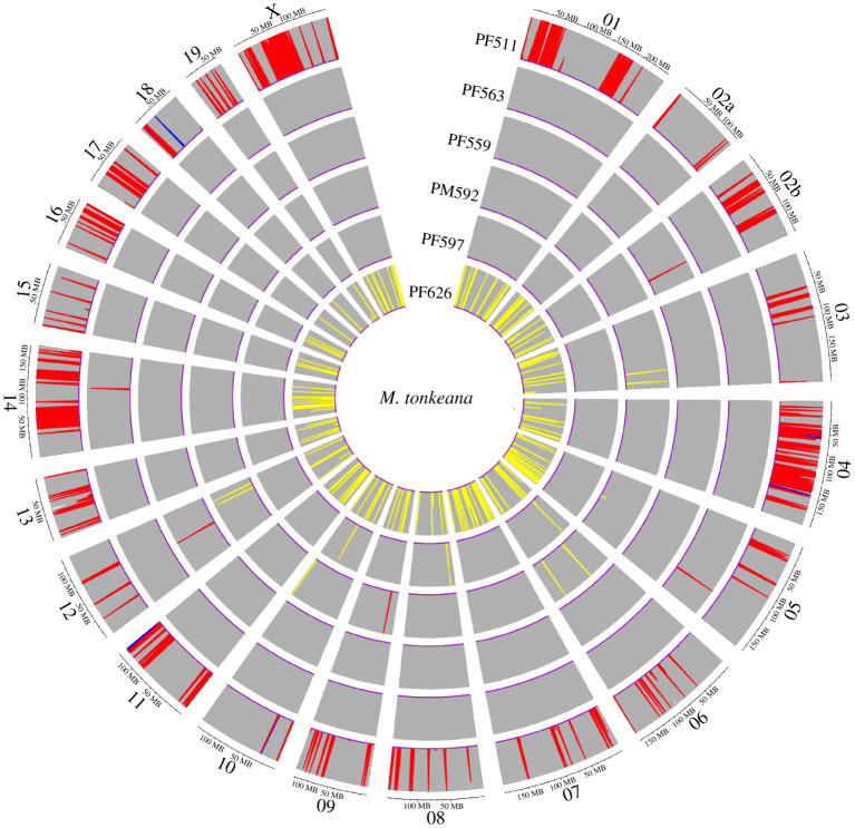 Figure 4. 