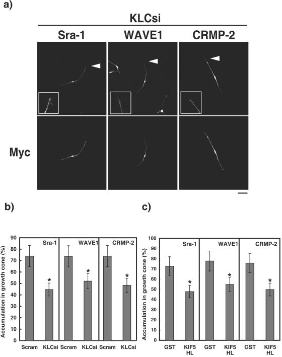 FIG. 8.