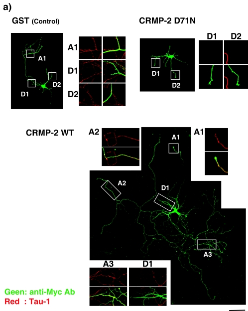 FIG. 5.