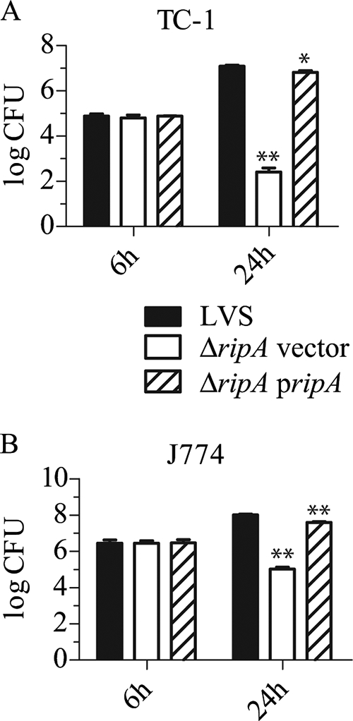 FIG. 3.