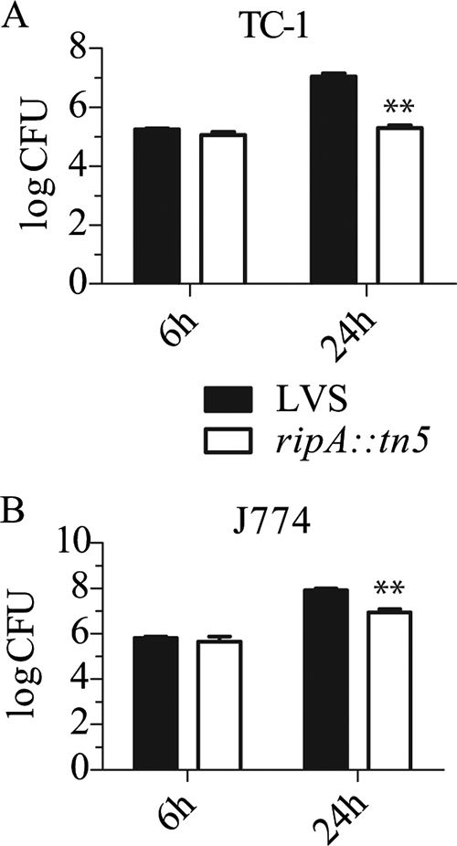 FIG. 1.