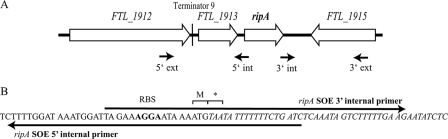 FIG. 2.