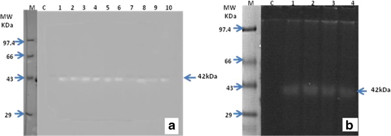 Fig. 5