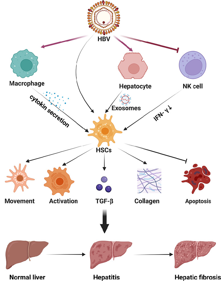 Figure 2