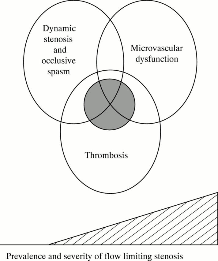 Figure 3  