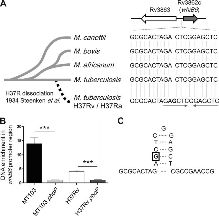 FIG 4