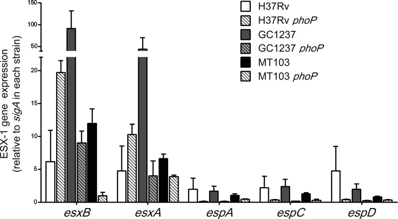 FIG 2