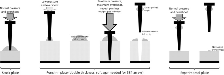 Fig. 5