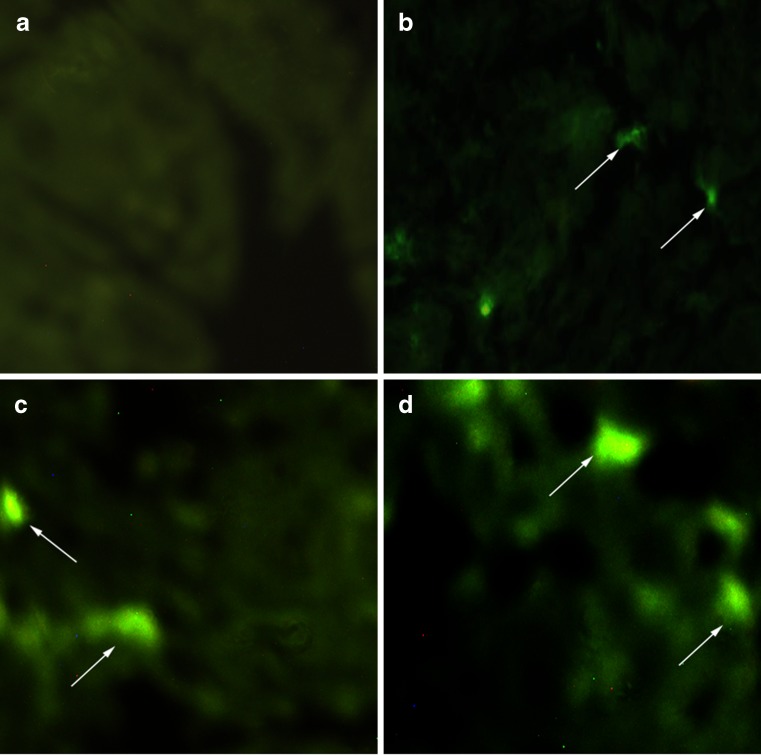 Fig. 3