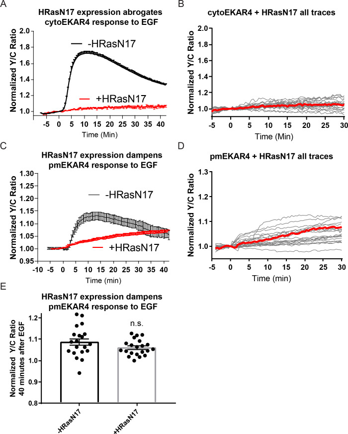 Figure 3—figure supplement 6.