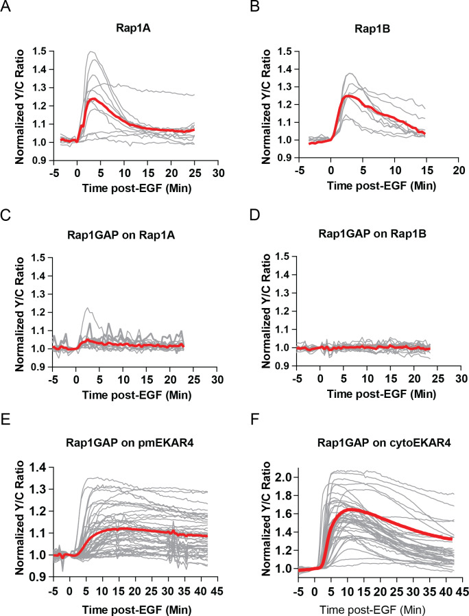 Figure 3—figure supplement 2.