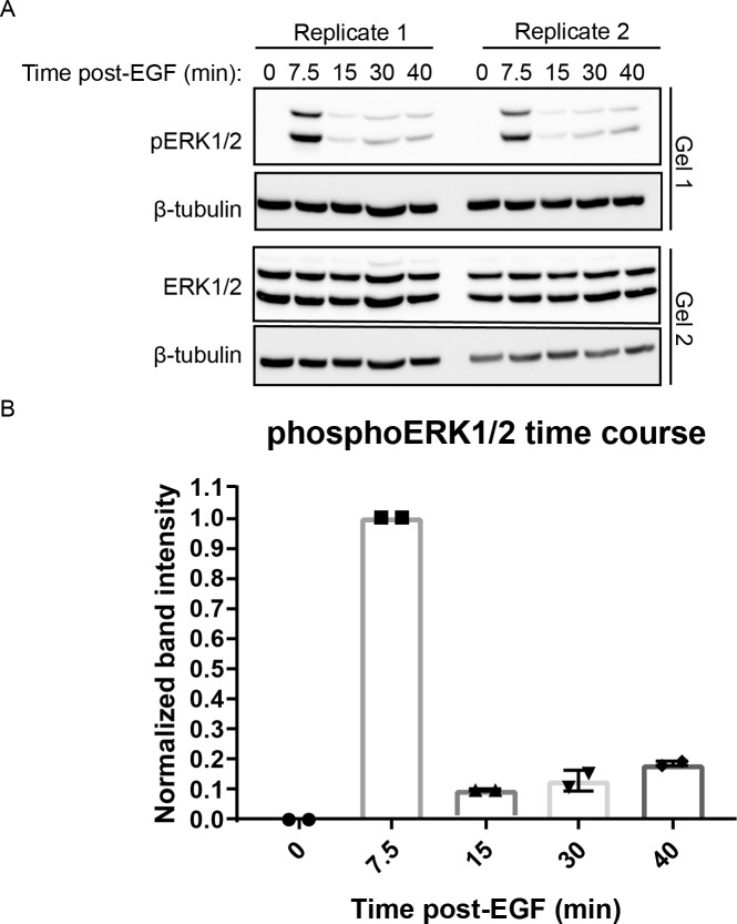 Figure 1—figure supplement 5.