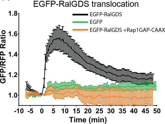 Figure 3—figure supplement 4.