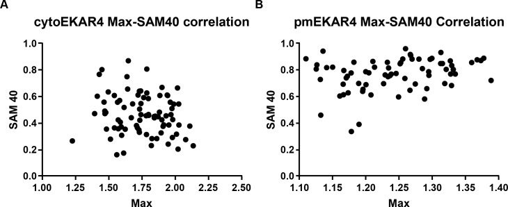 Figure 1—figure supplement 4.