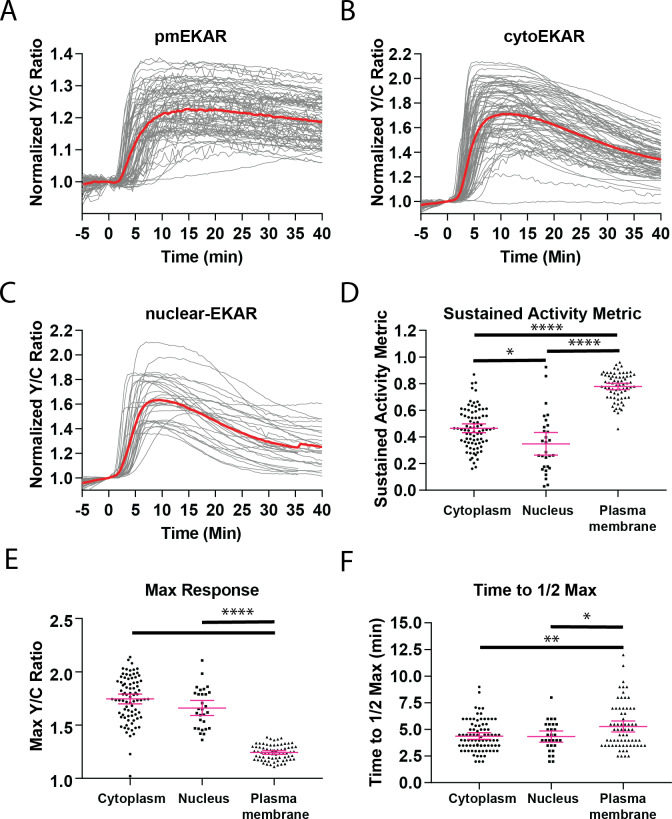 Figure 1—figure supplement 3.