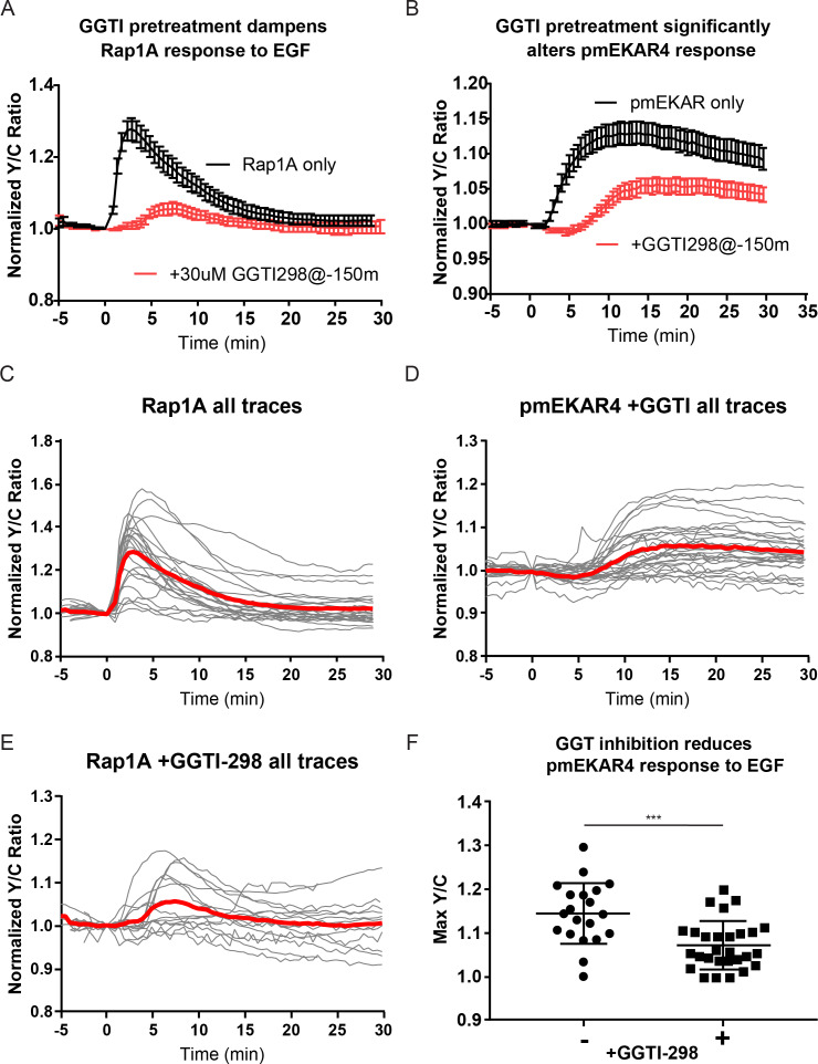 Figure 3—figure supplement 3.