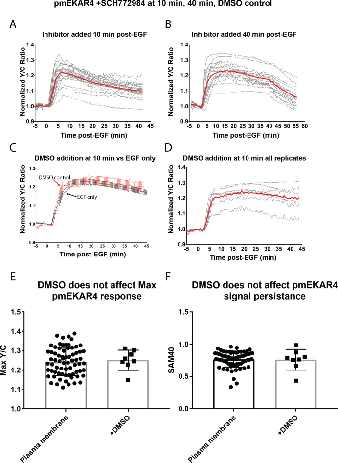 Figure 2—figure supplement 1.